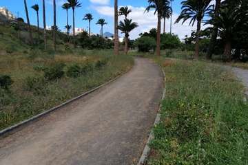 Abandono del Parque de las Mil Palmeras del Valle de Jinámar/TA.